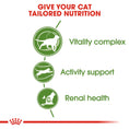 Load image into Gallery viewer, Royal Canin Outdoor 7+ Ageing Dry Cat Food