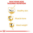 Load image into Gallery viewer, Royal Canin Pug Adult Dry Dog Food
