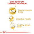 Load image into Gallery viewer, Royal Canin Siamese Adult Dry Cat Food