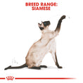 Load image into Gallery viewer, Royal Canin Siamese Adult Dry Cat Food