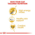 Load image into Gallery viewer, Royal Canin Sphynx Cat Adult Dry Cat Food