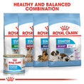 Load image into Gallery viewer, Royal Canin Starter Mousse Mother & Babydog