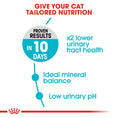 Load image into Gallery viewer, Royal Canin Urinary Care Adult Dry Cat Food