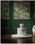 Load image into Gallery viewer, Dorwest Tree Barks Powder – Herbal Wellness for Your Dog