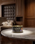 Load image into Gallery viewer, Schesir After Dark Pate Adult Cat Chicken & Duck 80g Case of 12