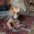 Load image into Gallery viewer, Cotswolds Check Adjustable Neck HARNESS: L