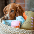 Load image into Gallery viewer, Beco Recycled Soft Iggy Iguanodon Dog Toy Eco-Friendly Plush Chew Toy for Medium Dogs