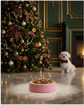 Load image into Gallery viewer, Beco Steady Dog Bowl Pink Non-Slip Durable Pet Feeding Bowl for Puppies and Dogs
