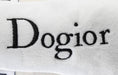 Load image into Gallery viewer, Dogior High-Top Tennis Shoe dog Toy