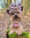 Load image into Gallery viewer, Pastel Petals - Dog Sailor Bow Tie