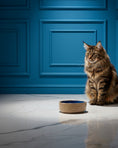 Load image into Gallery viewer, Mason Bluecane Cat Bowl – Stylish Dining for Your Feline Friend
