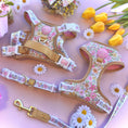 Load image into Gallery viewer, Pastel Petals - Supaw Strong™ Dog Harness (XS-XL): Medium