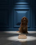 Load image into Gallery viewer, Mason Cash Dog Non Tip Bowl