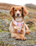 Load image into Gallery viewer, Pastel Petals - Supaw Strong™ Dog Harness (XS-XL): Medium