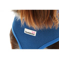 Load image into Gallery viewer, Doodlebone Air Mesh Harness