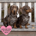 Load image into Gallery viewer, Trail & Glow Tweed Dog Harness & Lead Set - Colour Drops - Heritage Plaid: M