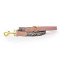 Load image into Gallery viewer, Bella's Jumper Dog Collar + Tag Holder: Large
