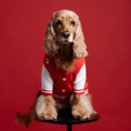 Load image into Gallery viewer, MOOKIE JACKET: L