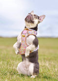 Load image into Gallery viewer, Pastel Petals - Supaw Strong™ Dog Harness (XS-XL): Small