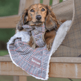 Load image into Gallery viewer, Bow Tie - Colour Drops - Heritage Plaid