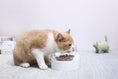 Load image into Gallery viewer, Petkit Nano Adjustable Feeding Bowl
