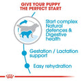 Load image into Gallery viewer, Royal Canin Giant Starter Mother & Babydog Adult and Puppy Dry Food