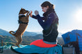 Load image into Gallery viewer, Hurtta Training Vest ECO – Blackberry