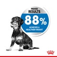 Load image into Gallery viewer, Royal Canin Mini Light Weight Care Adult Dry Dog Food