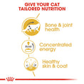 Load image into Gallery viewer, Royal Canin Maine Coon Adult In Gravy Wet Cat Food