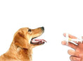 Load image into Gallery viewer, Mikki Pill Gun
