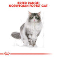 Load image into Gallery viewer, Royal Canin Dry Cat Food Norwegian Forest Adult