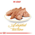 Load image into Gallery viewer, Royal Canin Persian in Gravy Adult Wet Cat Food