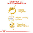 Load image into Gallery viewer, Royal Canin Persian in Gravy Adult Wet Cat Food
