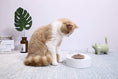 Load image into Gallery viewer, Petkit Nano Adjustable Feeding Bowl