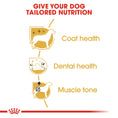 Load image into Gallery viewer, Royal Canin Poodle Adult Dry Dog Food