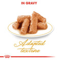 Load image into Gallery viewer, Royal Canin British Shorthair Adult In Gravy Wet Cat Food