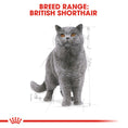 Load image into Gallery viewer, Royal Canin British Shorthair Adult In Gravy Wet Cat Food