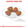 Load image into Gallery viewer, Royal Canin X-Small Puppy Dry Dog Food