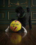 Load image into Gallery viewer, Sportspet Football Dog Toy