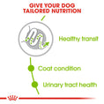 Load image into Gallery viewer, Royal Canin X-Small Adult Dry Dog Food