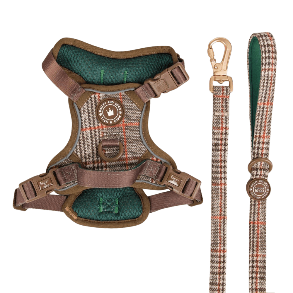 Trail & Glow Tweed Dog Harness & Lead Set - Colour Drops - Heritage Plaid: XS
