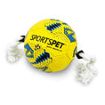 Load image into Gallery viewer, Sportspet Football Dog Toy
