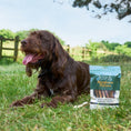 Load image into Gallery viewer, Bingham Farms 16cm Rawhide Munchy Strip Asstd 100 Pk [SNG] 1kg

