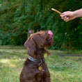 Load image into Gallery viewer, Bingham Farms 12cm Rawhide Munchy Sticks Asstd 100 Pk [SNG] 900g

