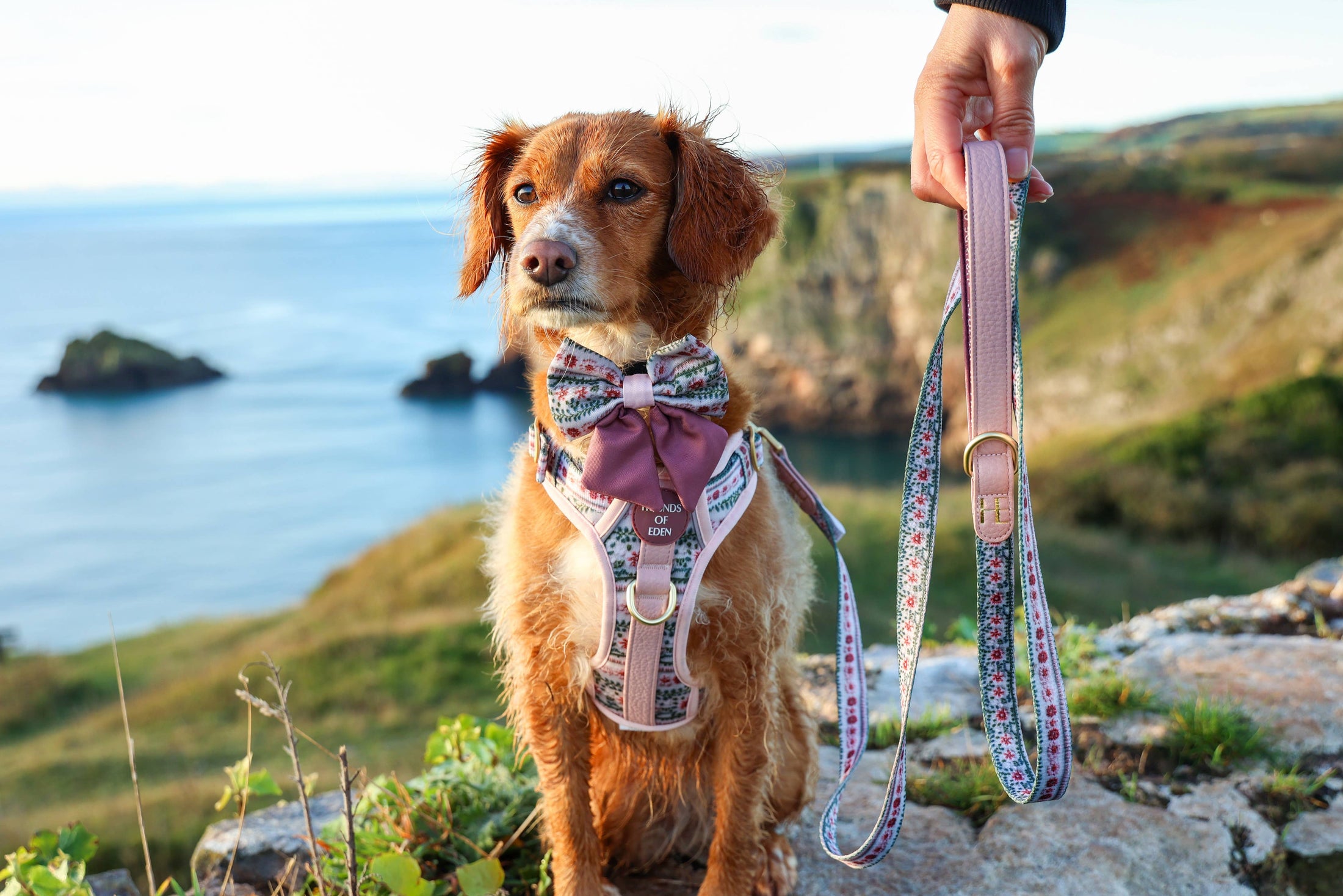 Bella's Jumper Supaw Strong Lite™ Dog Harness (XS-XL): Medium