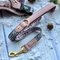 Load image into Gallery viewer, Bella's Jumper Dog Collar + Tag Holder: Medium
