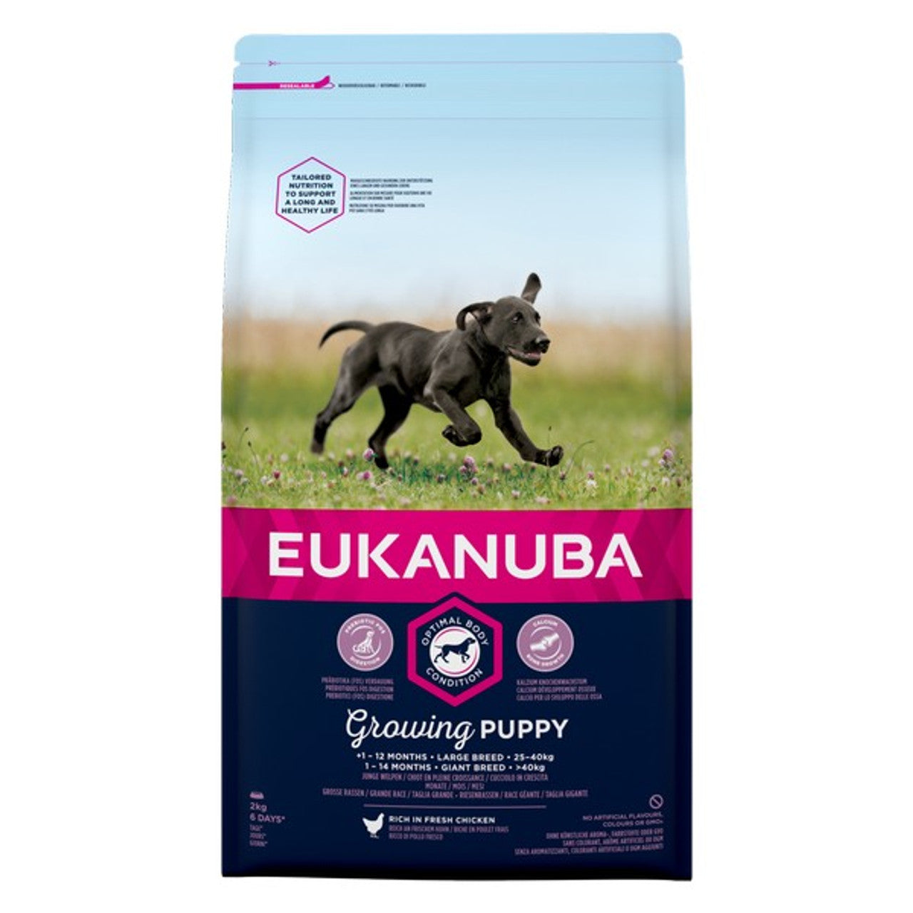 Eukanuba Growing Puppy Large Breed Chicken 2kg