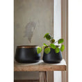 Load image into Gallery viewer, NEW Sahara Sunset Large Plant Pot
