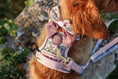 Load image into Gallery viewer, Bella's Jumper Dog Collar + Tag Holder: Large
