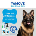 Load image into Gallery viewer, YuMOVE Skin & Coat Care Dog Supplement Itch Relief & Healthy Coat Support for Adult Dogs 250ml
